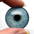 thumbnail image 6 of 5 Pairs Realistic Human Glass Eye Discounted Bundle II Set of 10 Eyes - Bulk Wholesale - Taxidermy Art Sculptures or Jewelry Making Supply, 6 of 8