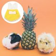 thumbnail image 4 of unbranded 1Ud Arnés Para Pequeñas Mascotas De Amarillo Transpirable Para Chinchillas Y Ardillas, 4 of 6