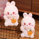 thumbnail image 2 of Cute / Soft / Beautiful / Rabbit Plush Toy / Rabbit Doll with Carrot Bag / Children's Birthday Gift / Christmas Giftwhite25cm Deng Xun unisex, 2 of 2