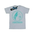 thumbnail image 1 of DC Comics Boys Aquaman Aqua Logo T-Shirt, 1 of 3