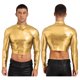 thumbnail image 3 of Top corto metálico brillante para hombre, camiseta de baile en barra de Color sólido brillante con cuello simulado, ropa para fiesta y discoteca, Top ajustado para discoteca, 3 of 5