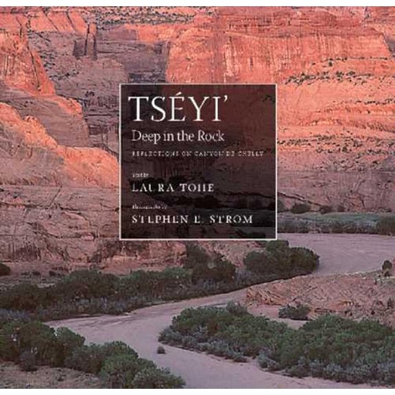 Pre-Owned Tsyi' / Deep in the Rock: Reflections on Canyon de Chelly (Volume 54) (Sun Tracks), 9780816523719, 0816523711, Paperback, Illustrated edition