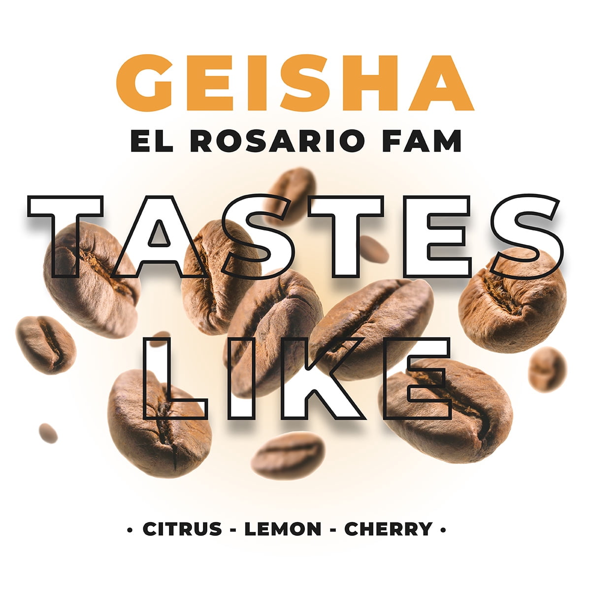 Diana's Coffee | Geisha | El Rosario farm | Whole Bean | 12 oz (340g)
