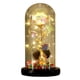 thumbnail image 1 of Rosa iluminada en cúpula de cristal, regalo de rosa preservada for siempre for mamá, esposa, decoración del día de San Valentín, 1 of 7