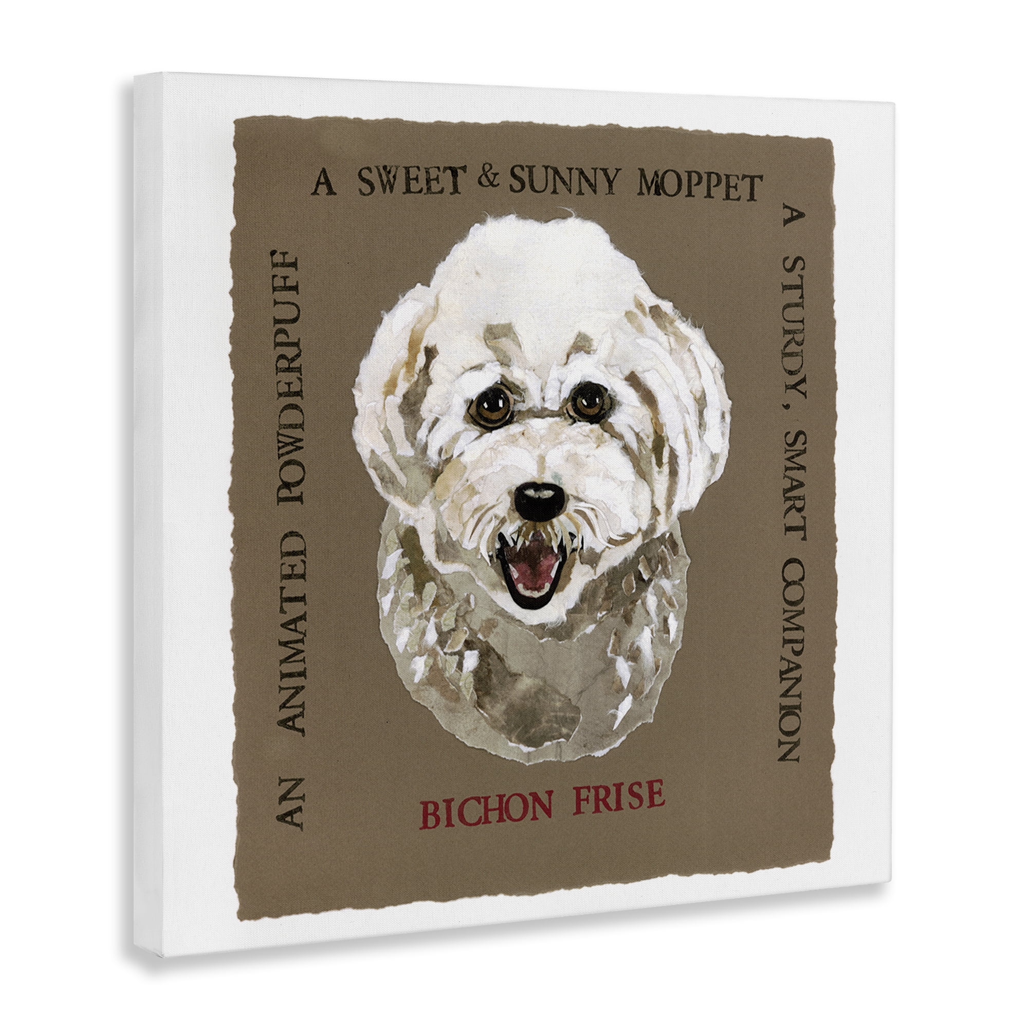 Stupell Industries Fun Bichon Frise Phrases Animals Painting Wrapped Canvas Art Print Wall Art, 36 x 36