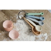 Kitchen Innovations Coastal Measuring Spoons