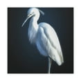 thumbnail image 1 of Snowy Egret Reflection - Canvas, 1 of 10