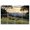 Color 3, variant on 8 Pack Art Acoustic Panels Sound Absorbing Farmhouse Grizzly Bear Vintage Forest Wildlife Animal Cabin Rustic Decorative Soundproof Wall Panels Self Adhesive for Recording Studios Office 48"x32"