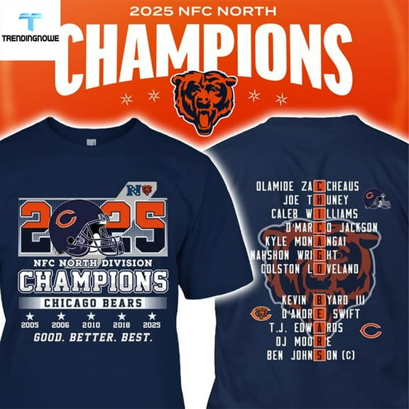 Chicago 2025 North Champions T-Shirt, Gift For Fan