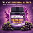 thumbnail image 6 of HERBOGANIC Elderberry Gummies, Daily Immune Support for Kids and Adults for overall health and wellness pack of 60, 6 of 8