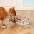 thumbnail image 3 of Cuencos Transparentes Para Gatos Cuencos Para Gatos Suministros De Alimentación Para Mascotas Comida Para Gatos Elevada Cuenco De Agua Boca Inclinada Transparente Cuencos Elevados ANGGREK Otros, 3 of 8