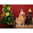 thumbnail image 4 of Collar para perro DOGWONG XL de algodón, Navidad, rojo, Papá Noel, 4 of 6