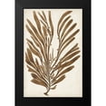 thumbnail image 2 of Vision Studio 13x18 Black Modern Framed Museum Art Print Titled - Sepia Seaweed II, 2 of 5