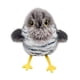thumbnail image 2 of Varita Automática para Gatos Lcp250711002 | Simulación de Pájaro Que Revolotea y Canta | Juguete Interactivo de Autoentretenimiento para Gatos | Batería Recargable Tipo C | Alivio Del Estrés y Juego, 2 of 3