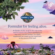 Garden of Life Dr. Formulated Probiotics Mood+, 60 Vegetarian Capsules