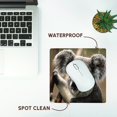 thumbnail image 7 of 3dRose, Koala Bear Closeup, MousePad, 7 of 7