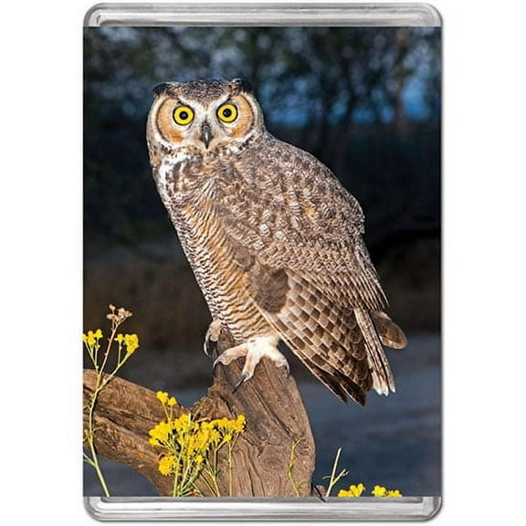 Great Horned Owl, a 140-piece Puzzle by Pigment & Hue