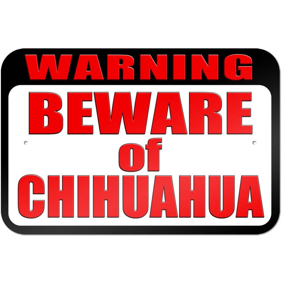 Warning Beware Of Chihuahua Sign Warning Beware Of Chihuahua Sign