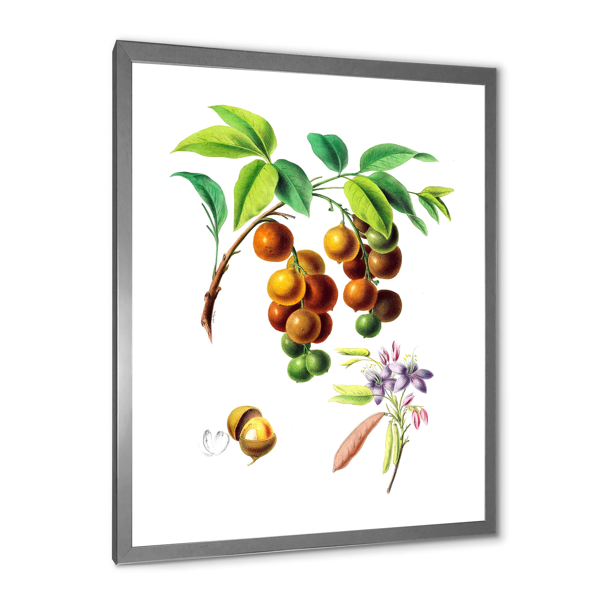 Designart 'Ancient Fruits III' Farmhouse Framed Art Print