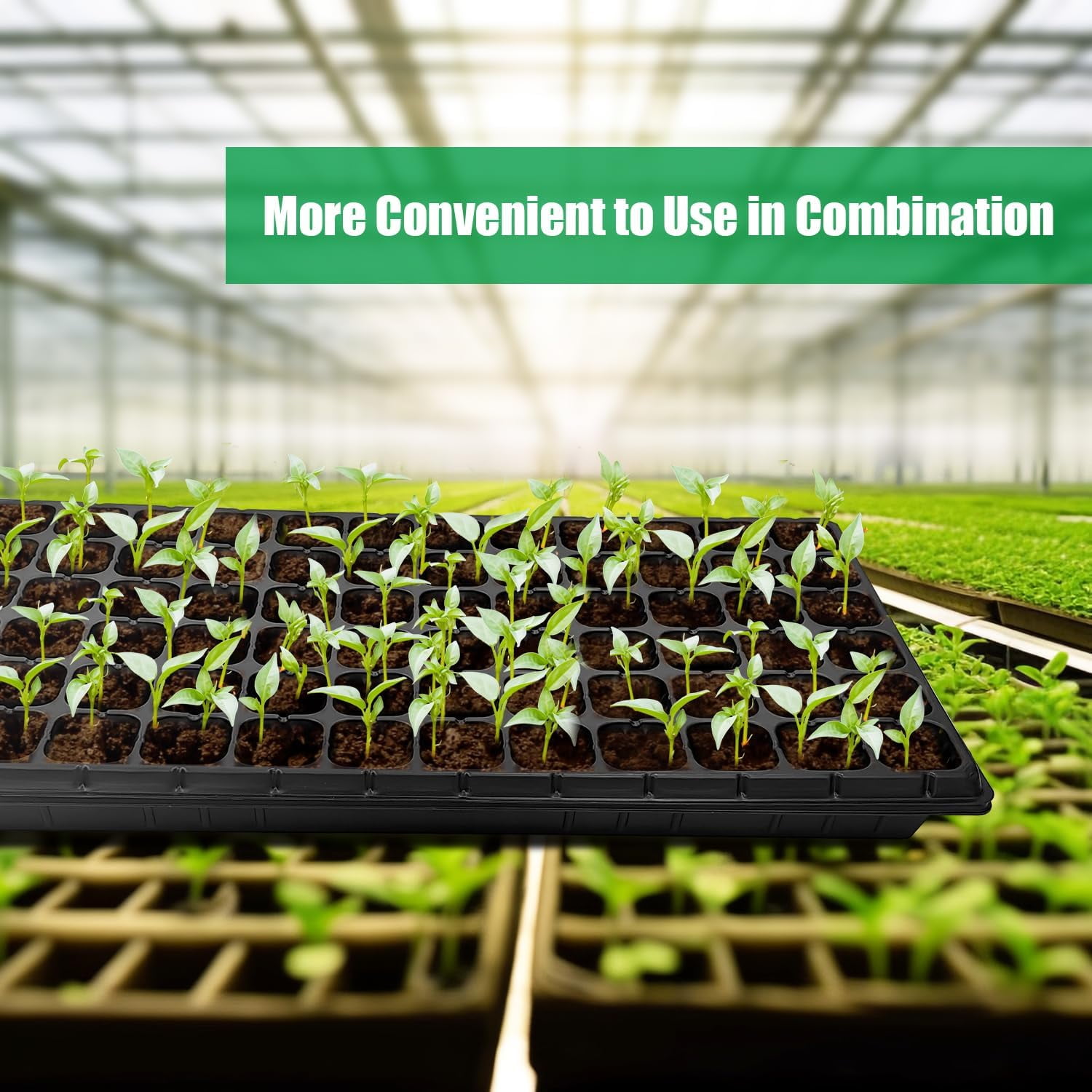 Seed Starter Trays and Plug Trays, Thick Durable Plastic Nursery Tray for Germination