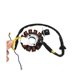 thumbnail image 5 of Coil 12 pole stator DC coil ignition stator compatible with GY6 125Cc 150Cc, 5 of 5
