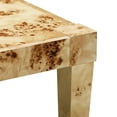 thumbnail image 4 of TOV Furniture Brandyss Natural Burl End Table, 4 of 4