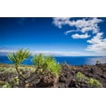 thumbnail image 2 of Bibikow, Walter 14x11 White Modern Wood Framed Museum Art Print Titled - Canary Islands-La Palma Island-Fuencaliente de la Palma-Punta de Fuencaliente-volcanic landscape, 2 of 4