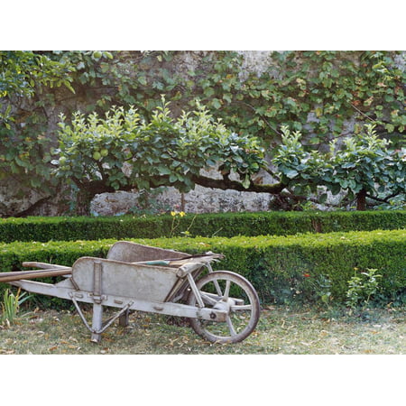 Wooden Barrow Against Low Clipped Box Hedges with Pleached Apple Trees; Old Grey Stone Wall Print Wall Art By Martine