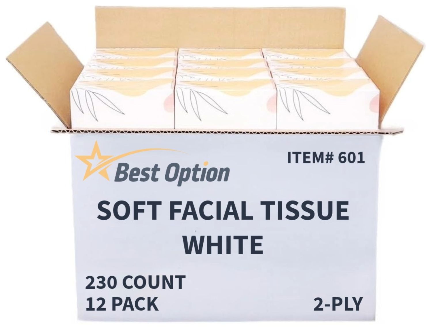Best Option 2-Ply Facial Tissue, White, 12-Box Pack photo 1