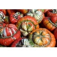 thumbnail image 3 of 10 Seeds American TURKS TURBAN SQUASH Gourd Cucurbita Maxima Vine Seeds, 3 of 10