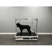 ELEVATION 48 Grooming Table (Basic Package)
