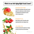 thumbnail image 6 of Just Nutritive Anti-Aging Night Cream, Wrinkle & Fine Line Reducer, Aloe & Mango, No Parabens, 2oz, 6 of 8