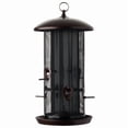 thumbnail image 3 of More Birds Giant Combo Screen Bird Feeder, 3 of 6