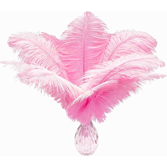 20 pcs Natural Pink Ostrich Feather Plumes 12-14 inch(30-35 cm) Bulk for Wedding Party Centerpieces and DIY Clothes Decoration, Gatsby Decorations