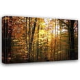 thumbnail image 1 of Alan Hausenflock 24x17 Gallery Wrapped Canvas Wall Art Titled - Sunset Through the Woods I, 1 of 4