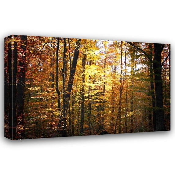 Alan Hausenflock 24x17 Gallery Wrapped Canvas Wall Art Titled - Sunset Through the Woods I