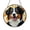 Acrylic 3.5 Inch, variant on Herding Dog Inspired Stained Glass Panel – Colorful Canine Window Art