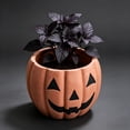 thumbnail image 6 of Aonerit Pumpkin Shaped Resin Flower Pot,Vintage Halloween Pumpkin Planter Pots,Halloween Fall Spooky Decor,For Halloween And Thanksgiving, 6 of 8