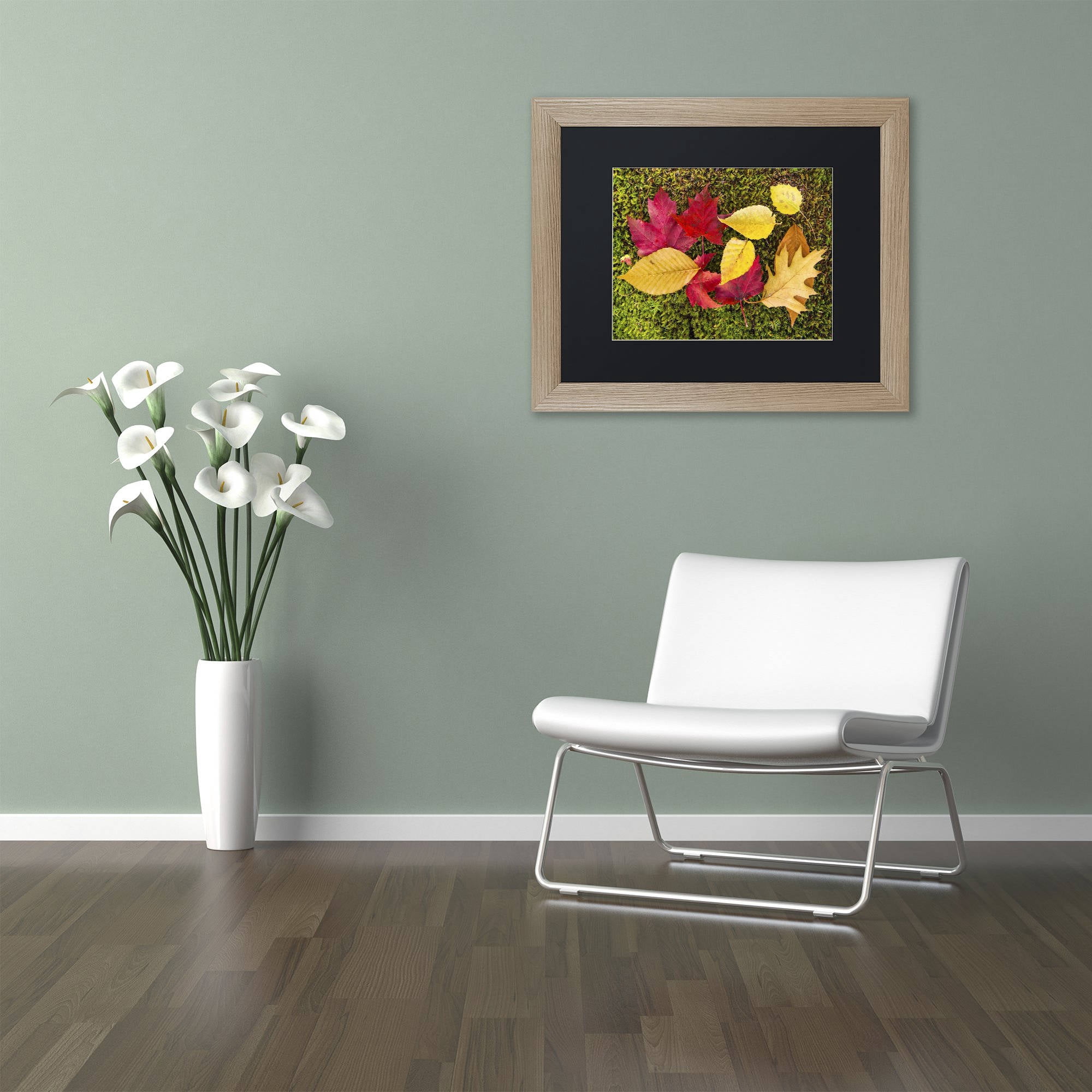 Trademark Fine Art "Leaves on Moss" Canvas Art by Michael Blanchette Photography Black Matte, Birch Frame