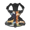 thumbnail image 4 of Lsque Bluey Dog Harness, No-Pull Pet Harness with 2 Leash Clips, Adjustable Soft Padded Dog Vest with Easy Control Handle for Large Dogs-X-Large, 4 of 9