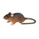 thumbnail image 2 of Ratones de juguete, modelo de rata, figuras de juguete, bromas, accesorios, juguetes, figuras de animales, simulación para Estilo B, 2 of 9