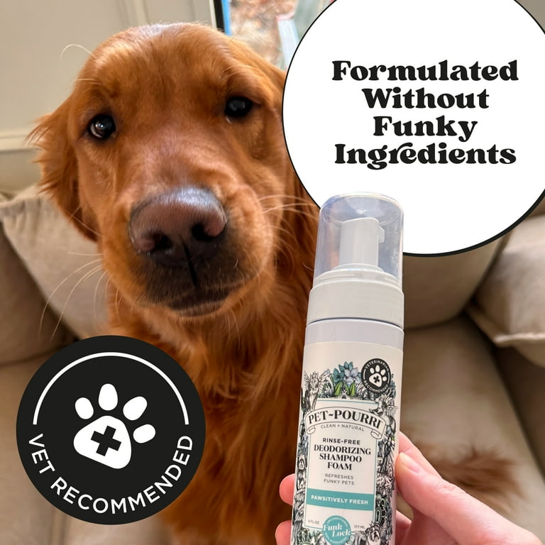 Pet-Pourri Rinse-Free Dry Shampoo, Pineapple photo 4