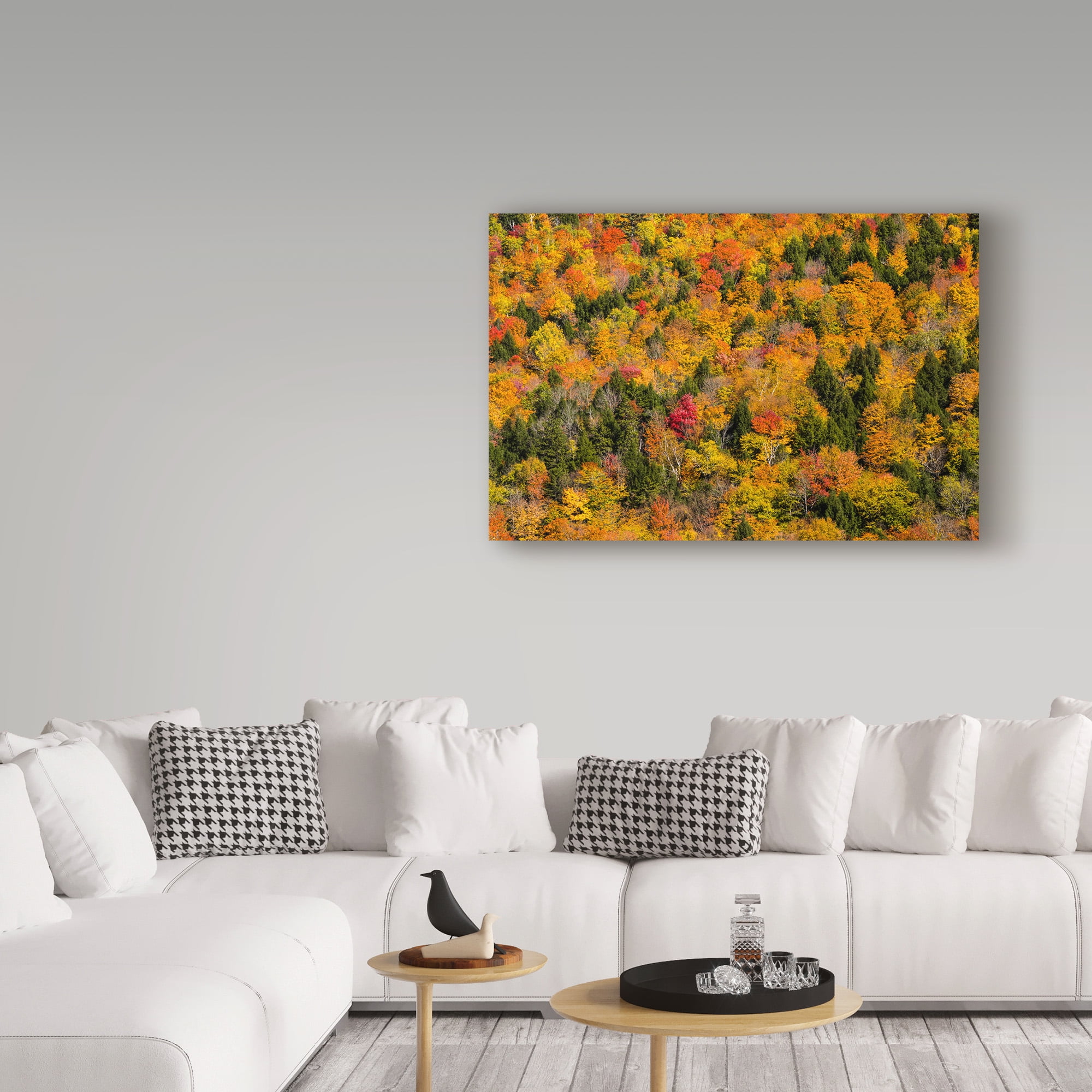 Trademark Fine Art 'Vermonts Glory' Canvas Art by Brenda Petrella Photography Llc