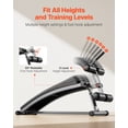 thumbnail image 2 of VEVOR Banc Assis, Banc Ab Incurvé à Déclin avec Poignée Réversible Crunch, avec 6 Réglages de Hauteur Réglables, Acier Robuste, Capacité de 600 Lb, Entraînement de Force, Muscles Complets du Corps, 2 of 9