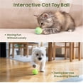 thumbnail image 2 of Interactive cat ball, green self-rolling intelligent indoor cat T, 2 of 5