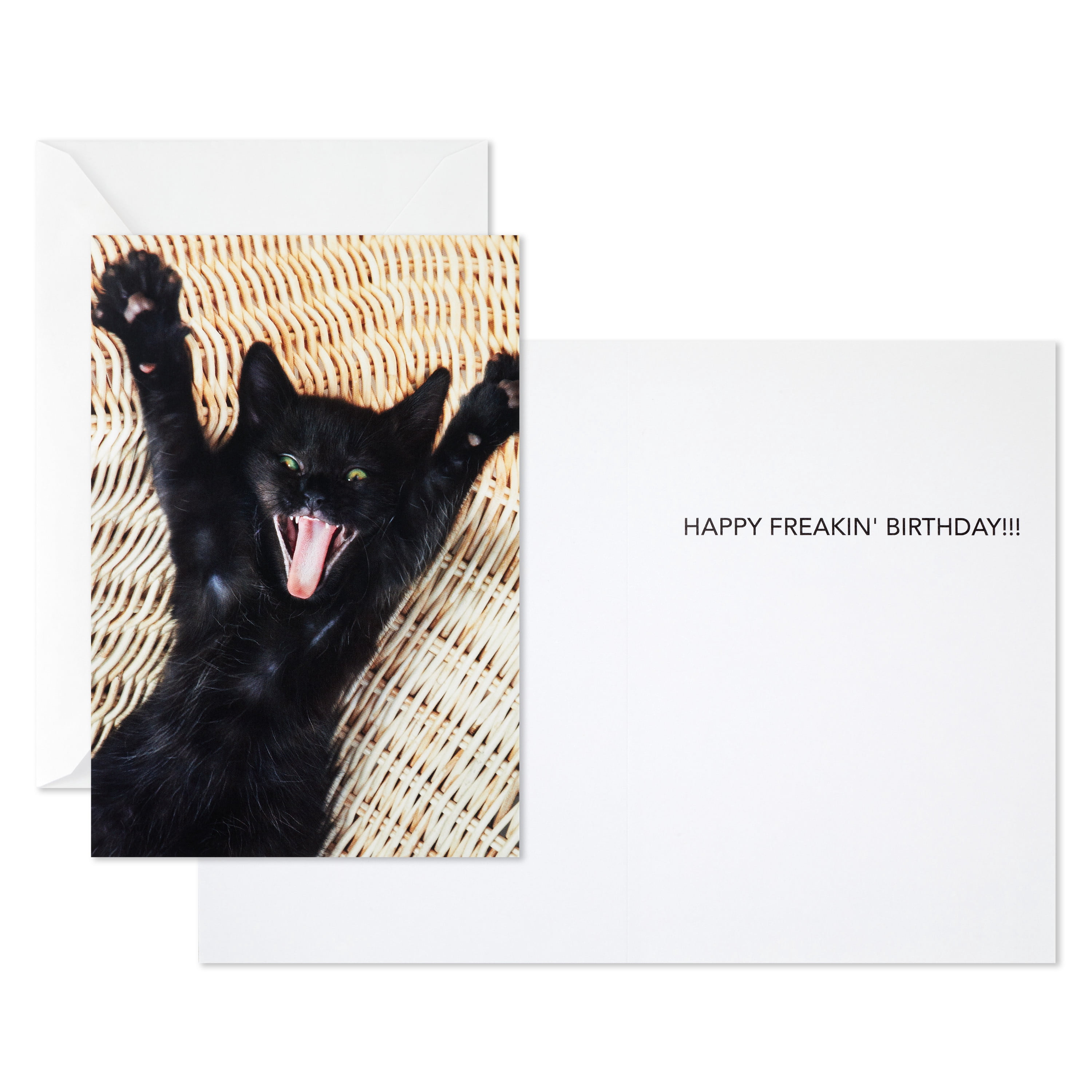 Hallmark Funny Birthday Greeting Card (Wild Black Cat)