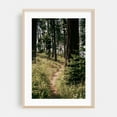 thumbnail image 2 of Through the Woods - Oregon Photography Forest Nature Woodland Scenic Wilderness Unframed Wall Art Print 12 x 18 inches, 2 of 60