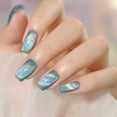 Universal Rainbow Cat Eye Gel Polish Holographic Cat Eye Nail Polish