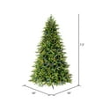 thumbnail image 3 of Vickerman 7.5' x 58" Jersey Fraser Fir Artificial Christmas Tree, LED Color Changing Mini Lights, 3 of 6