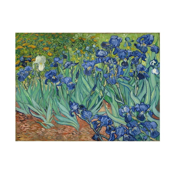 Vincent van Gogh 'Irises 1889' Canvas Art